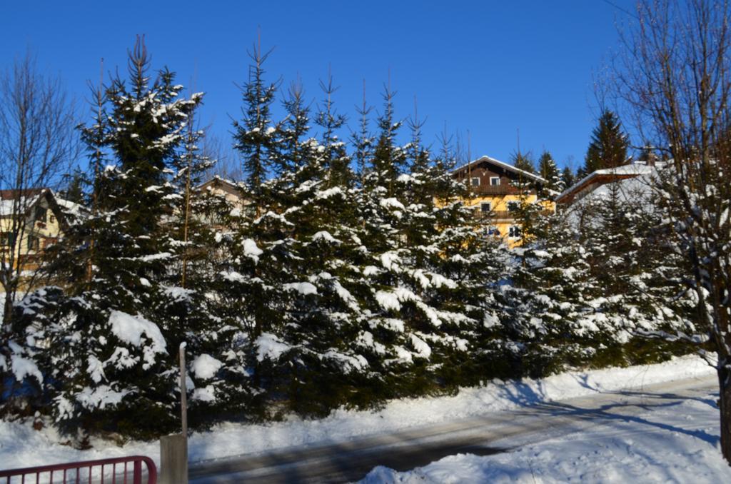 מלון אבטנאו Alpengasthof Dollerhof מראה חיצוני תמונה