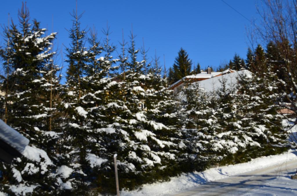 מלון אבטנאו Alpengasthof Dollerhof מראה חיצוני תמונה