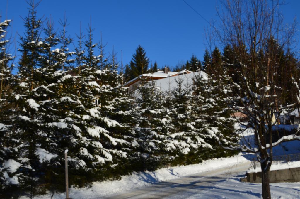 מלון אבטנאו Alpengasthof Dollerhof מראה חיצוני תמונה